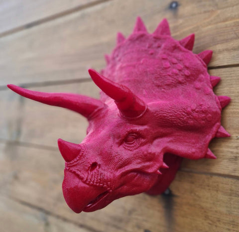 Triceratops Wall Mount