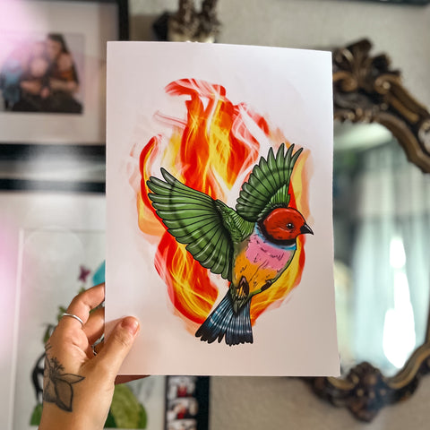 Fiery Finch A4 Art Print